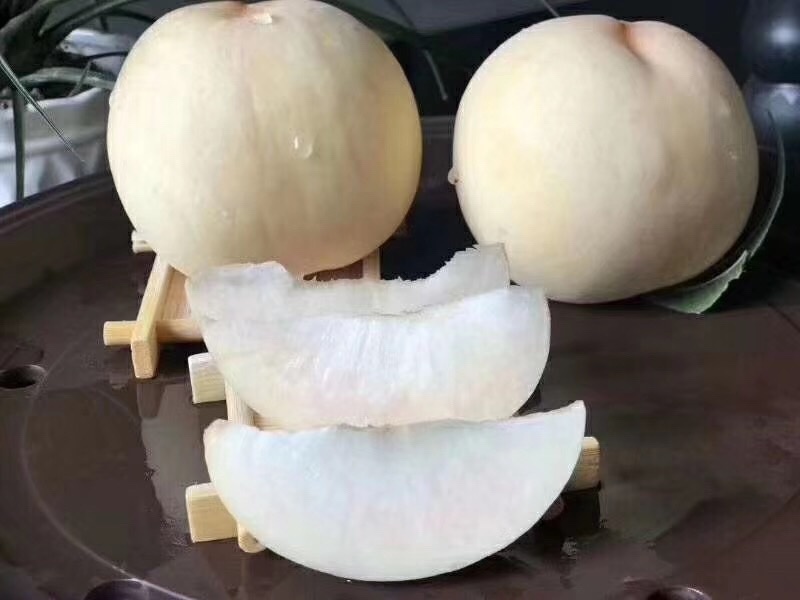 山东蒙阴白桃
