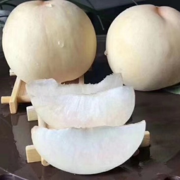 山东蒙阴白桃一件代发落地配