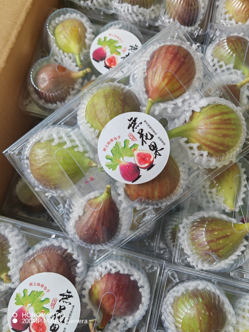 订单不听，包装规格齐全