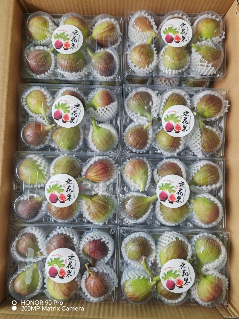 订单不听，包装规格齐全