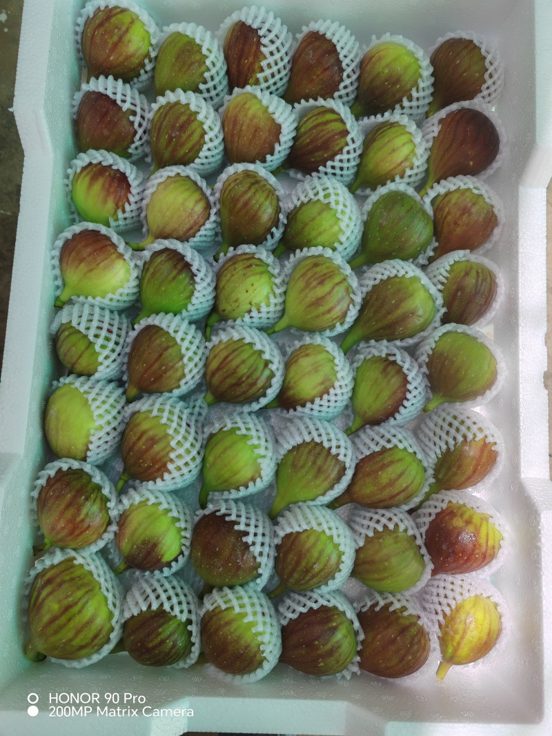 订单不听，包装规格齐全