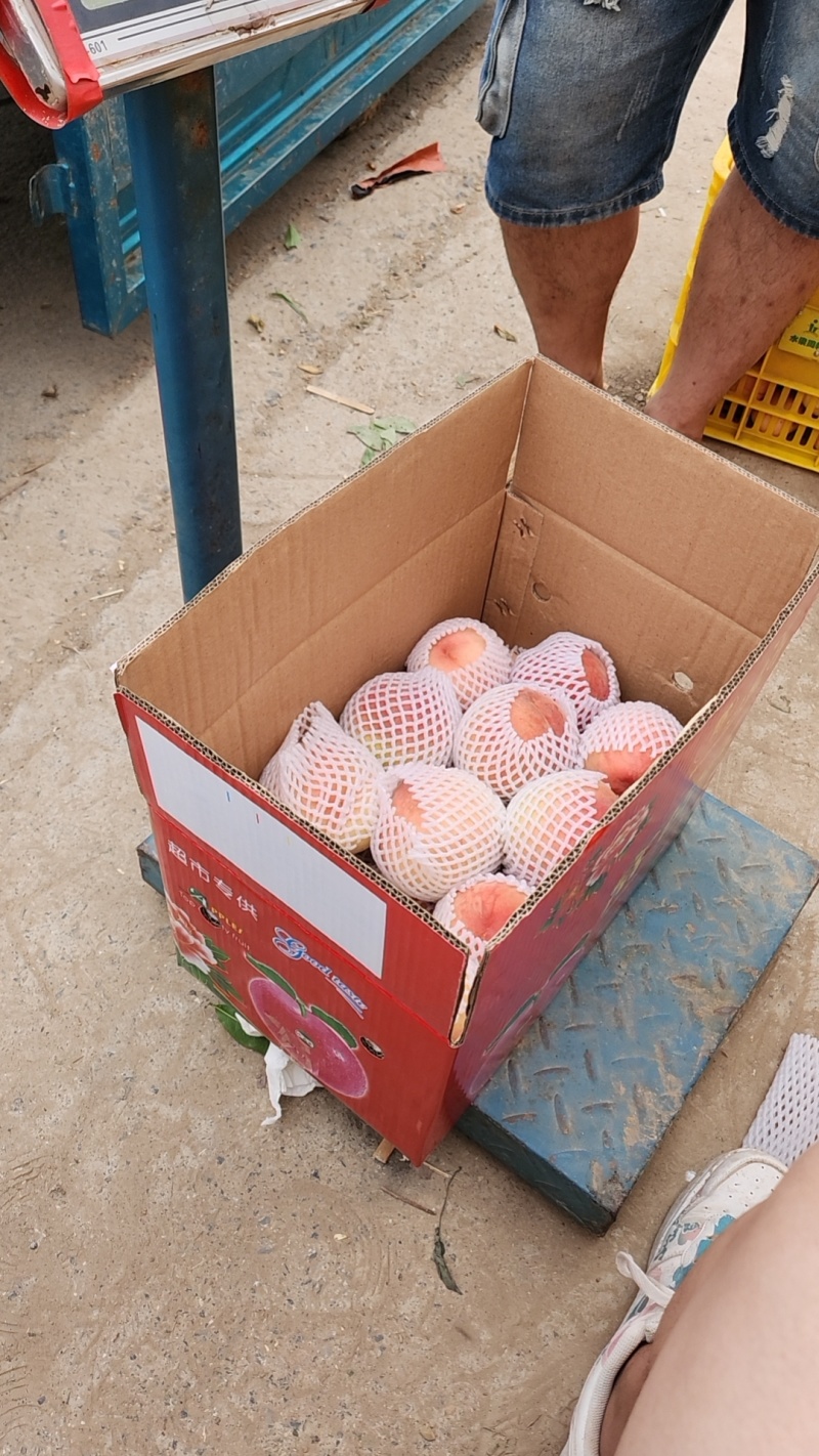 自产地各种品种毛桃