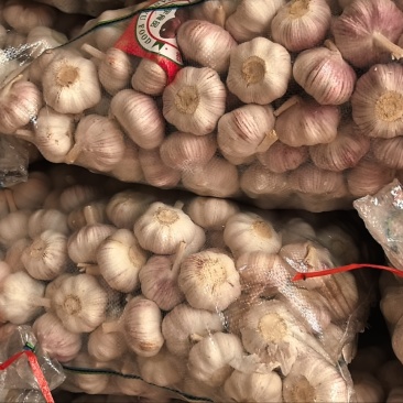 【精选】邳州大蒜产区直发对接农户保质保量价钱可谈发货