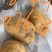 黄心土豆
