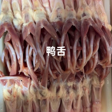 鸭副产品鸭舌规格齐全