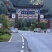 炎陵原产地高山黄桃
