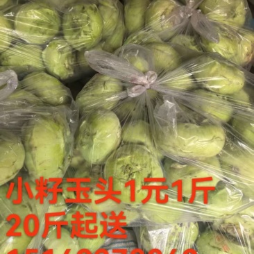 小籽芋头