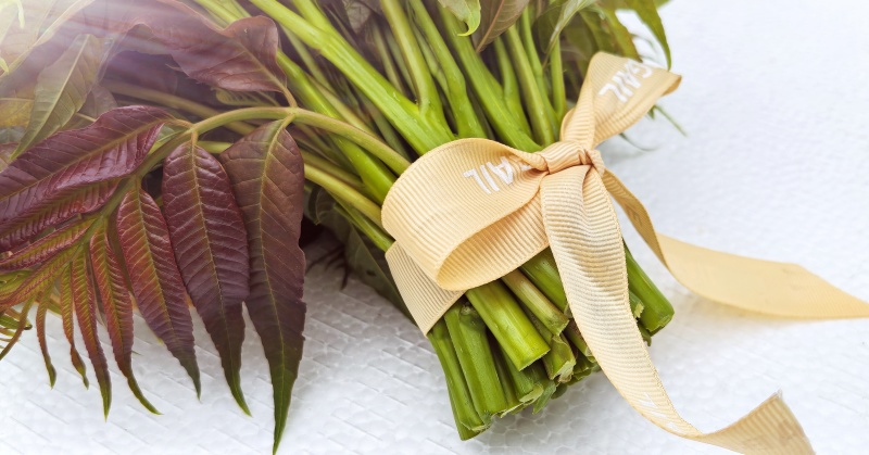 四季红油香椿芽