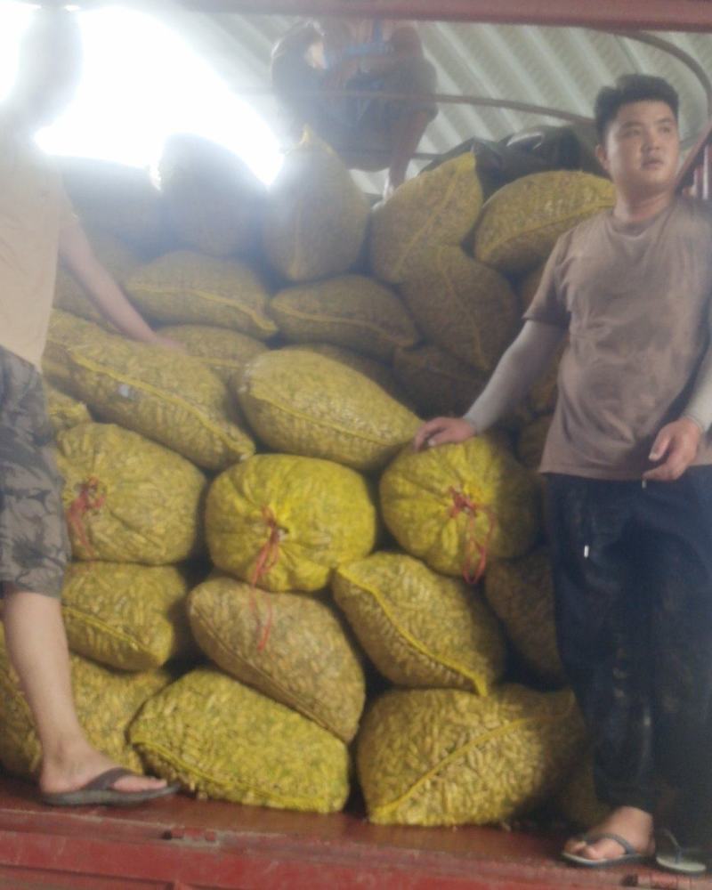 2025年新货云南富硒黑花生七彩花生干货水洗晒干精选
