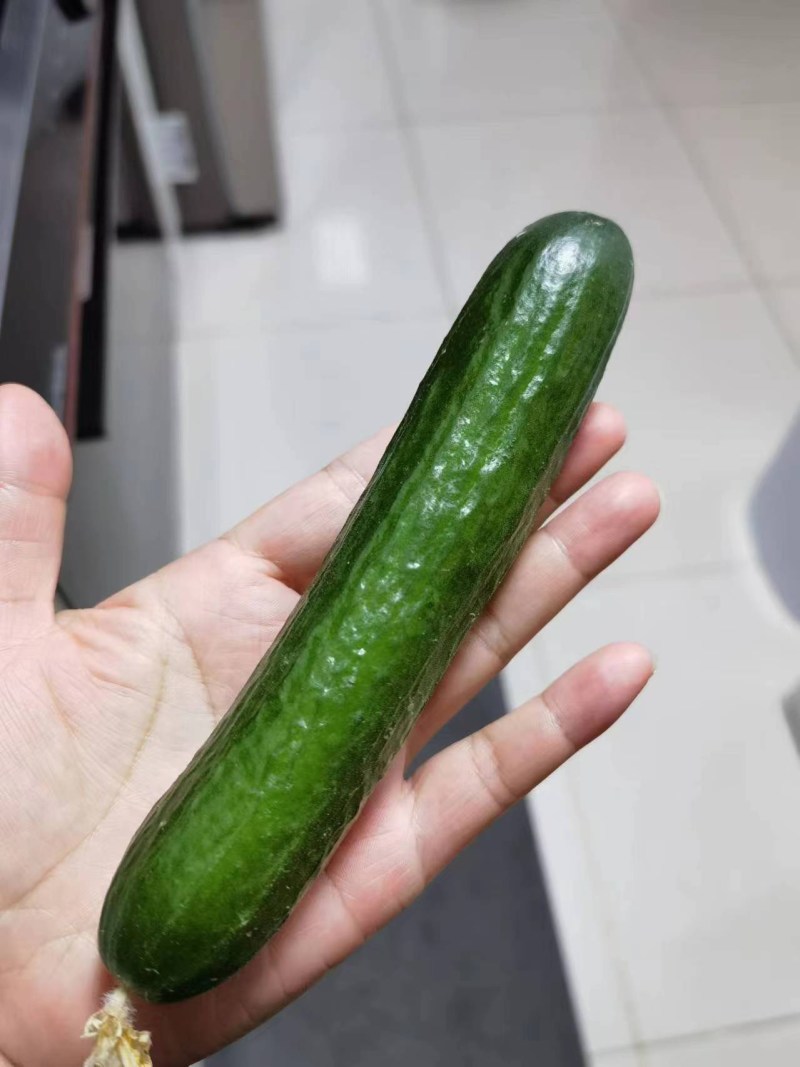 水果小黄瓜
