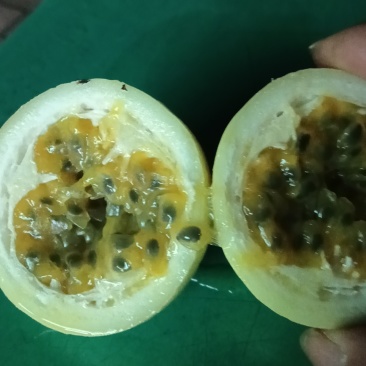 百香果