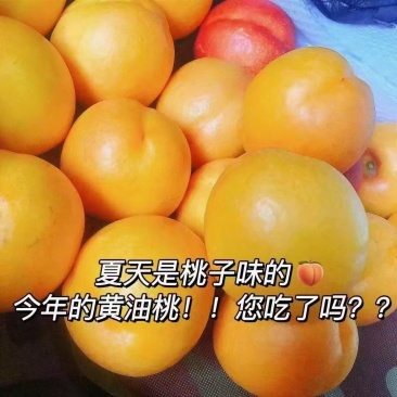 北京平谷大桃