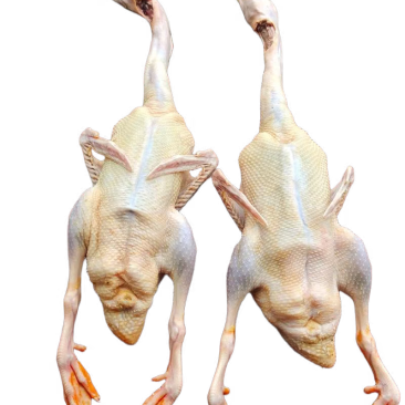 卖老鸭子