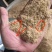 湖北，云贵川渝陕各种规格稻壳粉