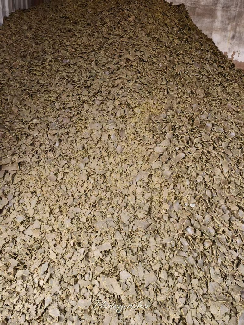 棉籽饼