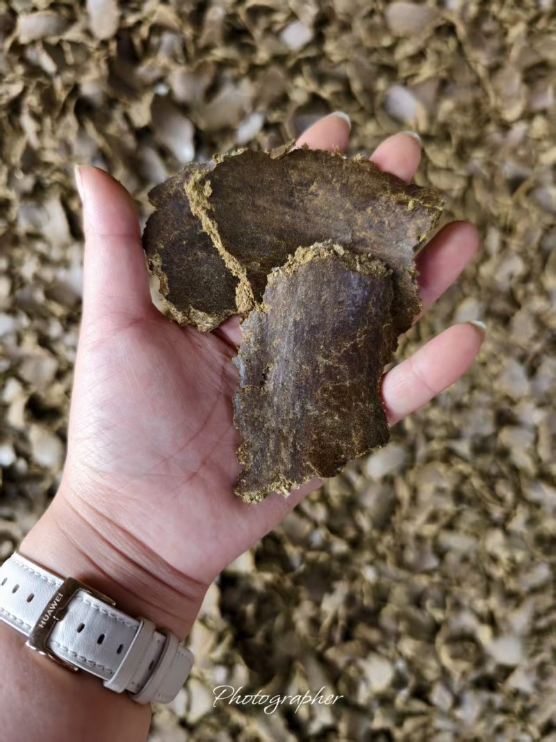 棉籽饼