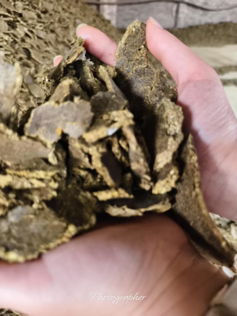 棉籽饼