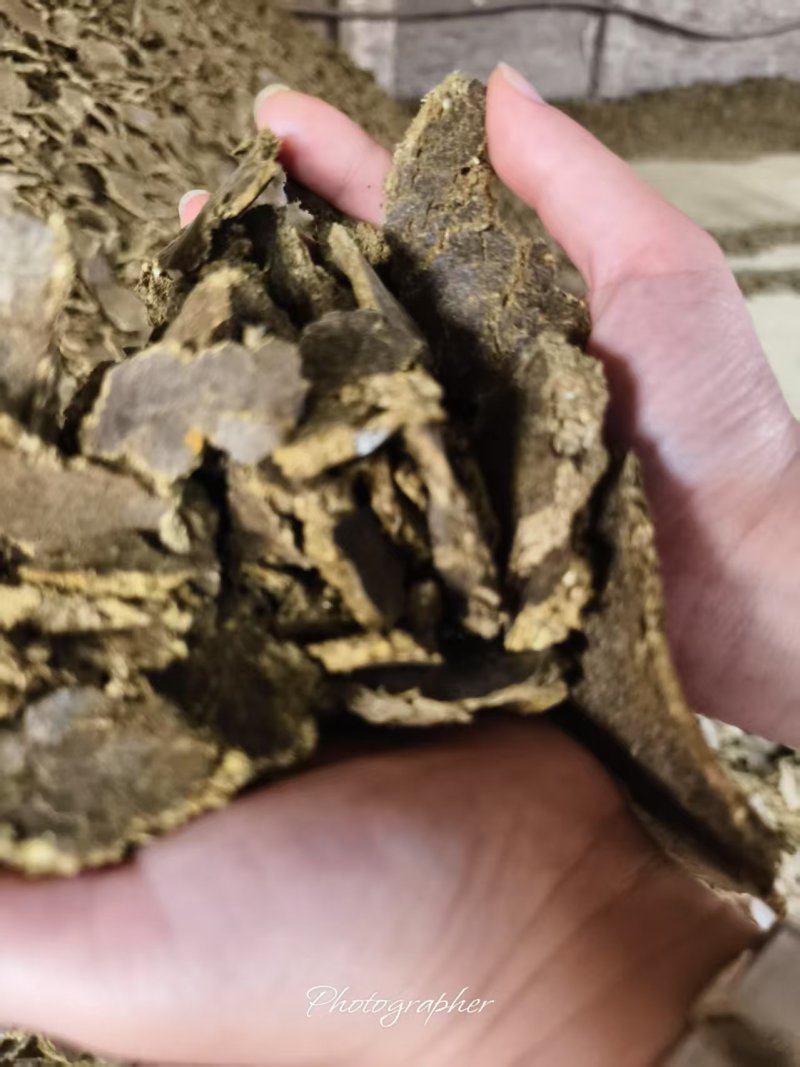 棉籽饼
