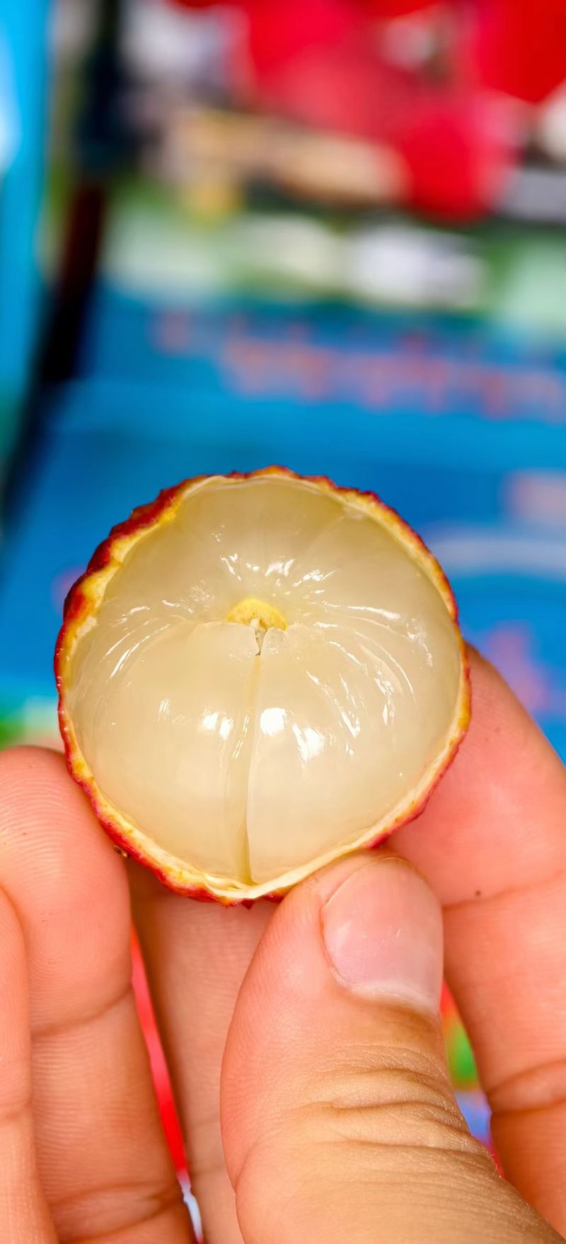 先进奉荔枝