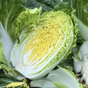 白菜，娃娃菜