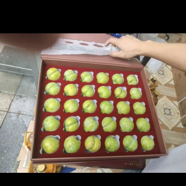 蜂糖李。