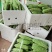 苦瓜（农村自种精品）