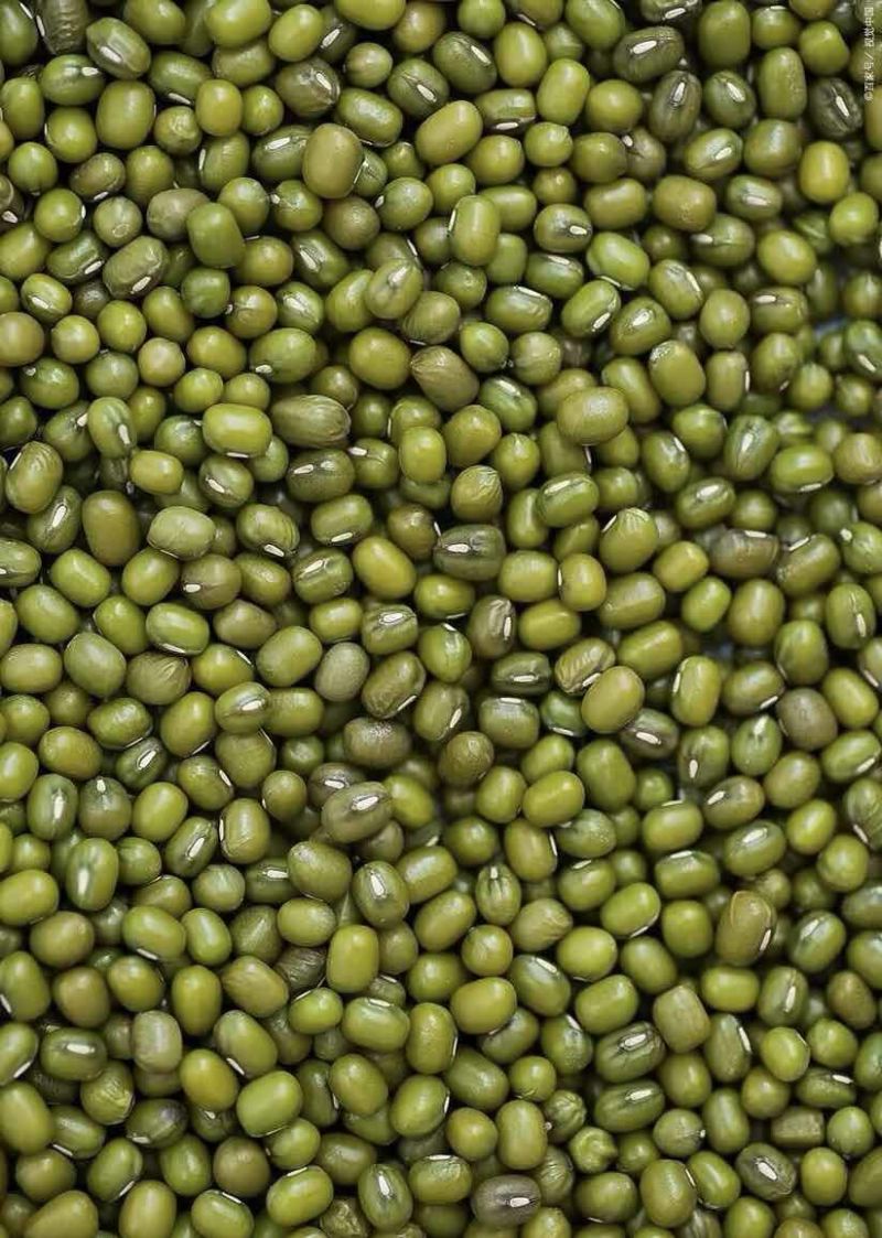 绿豆明豆颗颗饱满粒粒醇香色泽均匀明绿豆绿豆