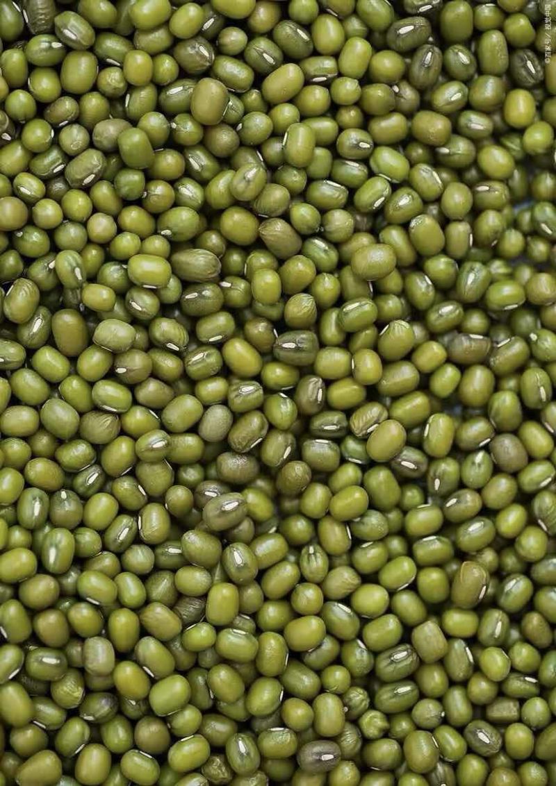 绿豆明豆颗颗饱满粒粒醇香色泽均匀明绿豆绿豆