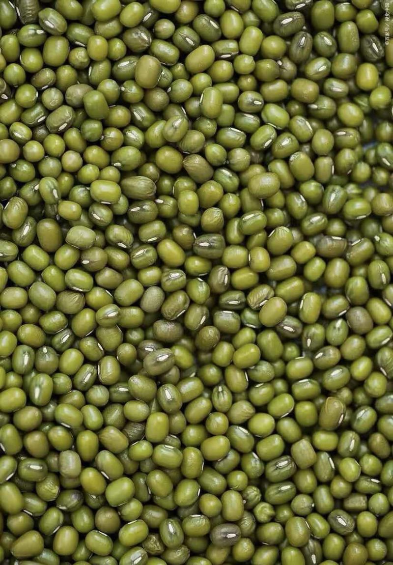 绿豆明豆颗颗饱满粒粒醇香色泽均匀明绿豆绿豆