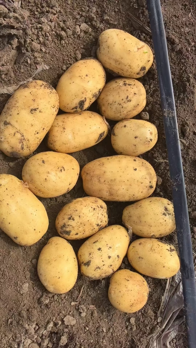 3量起步沃土系列，