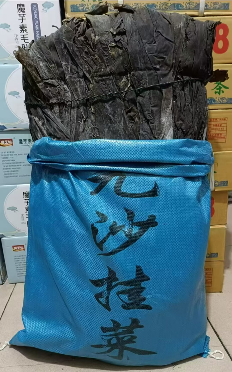 霞浦海带