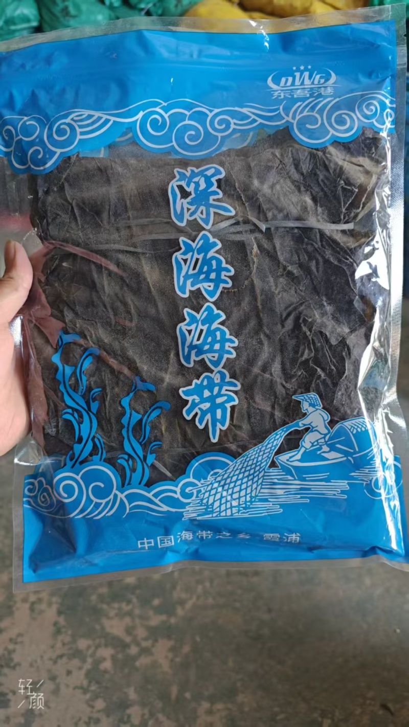 霞浦海带