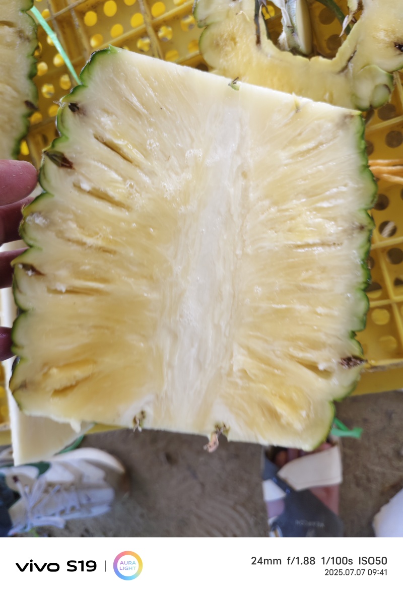 西瓜凤梨