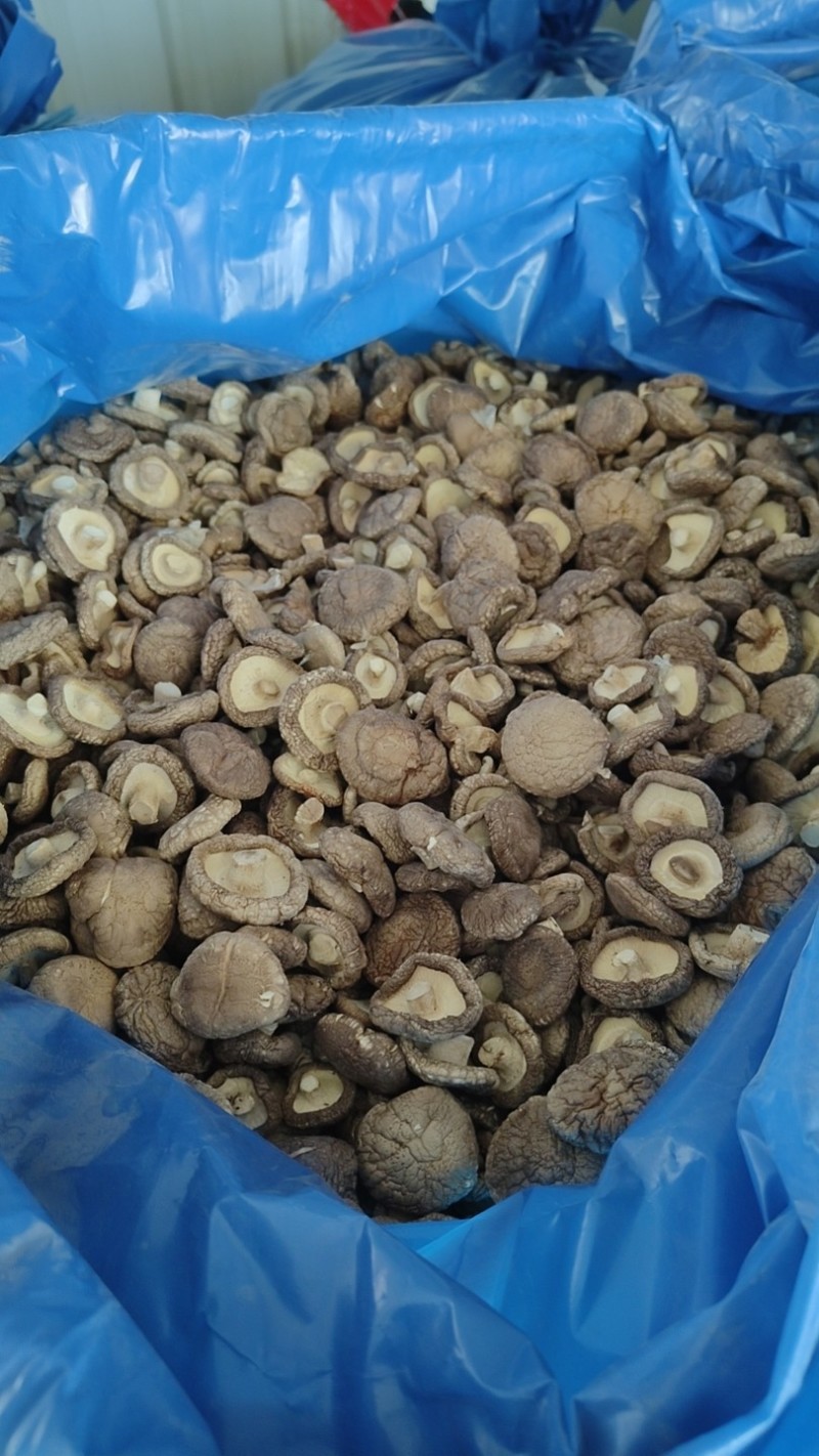 香菇干