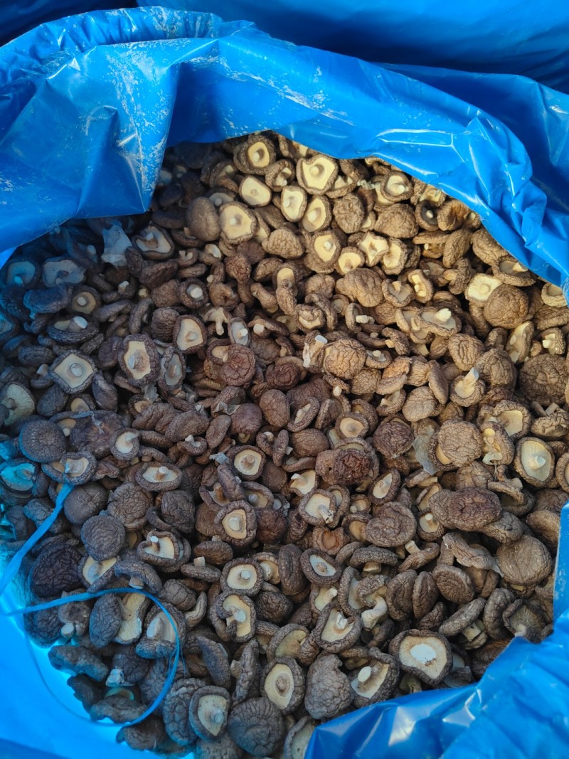 香菇干
