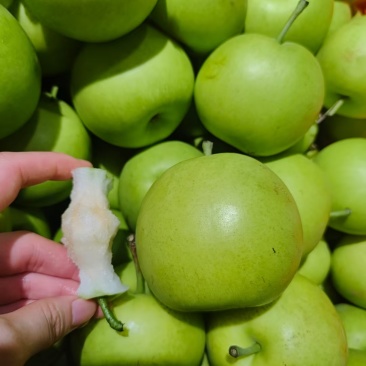 脆皮梨子🍐