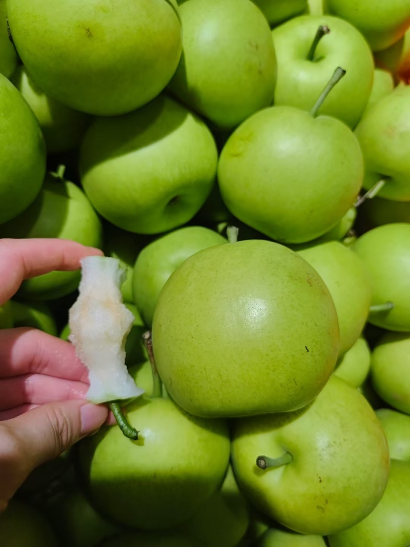 脆皮梨子🍐