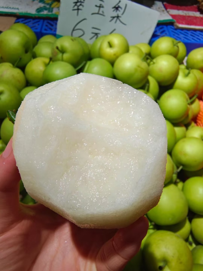 脆皮梨子🍐