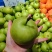 脆皮梨子🍐