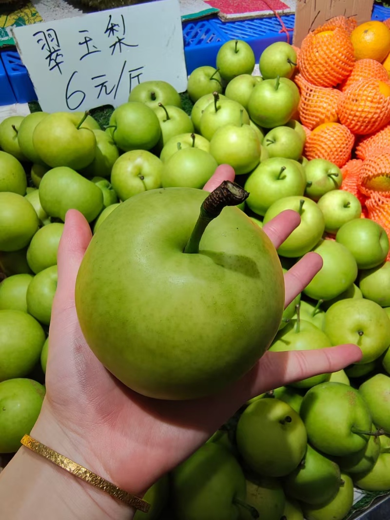 脆皮梨子🍐