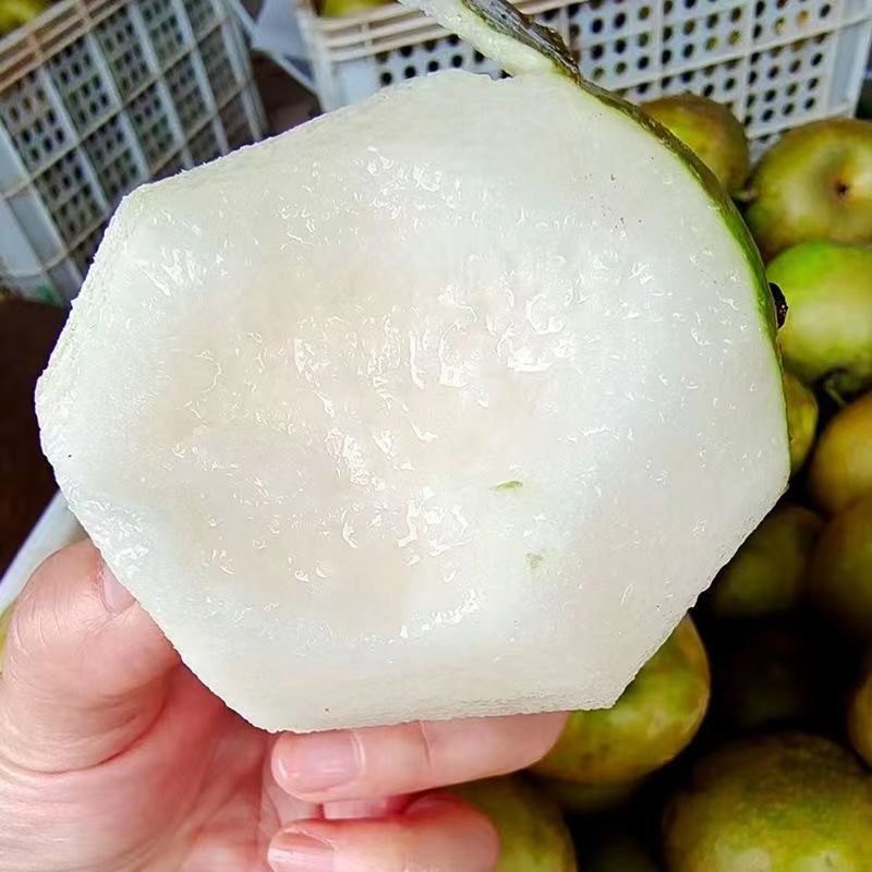精品翠冠梨