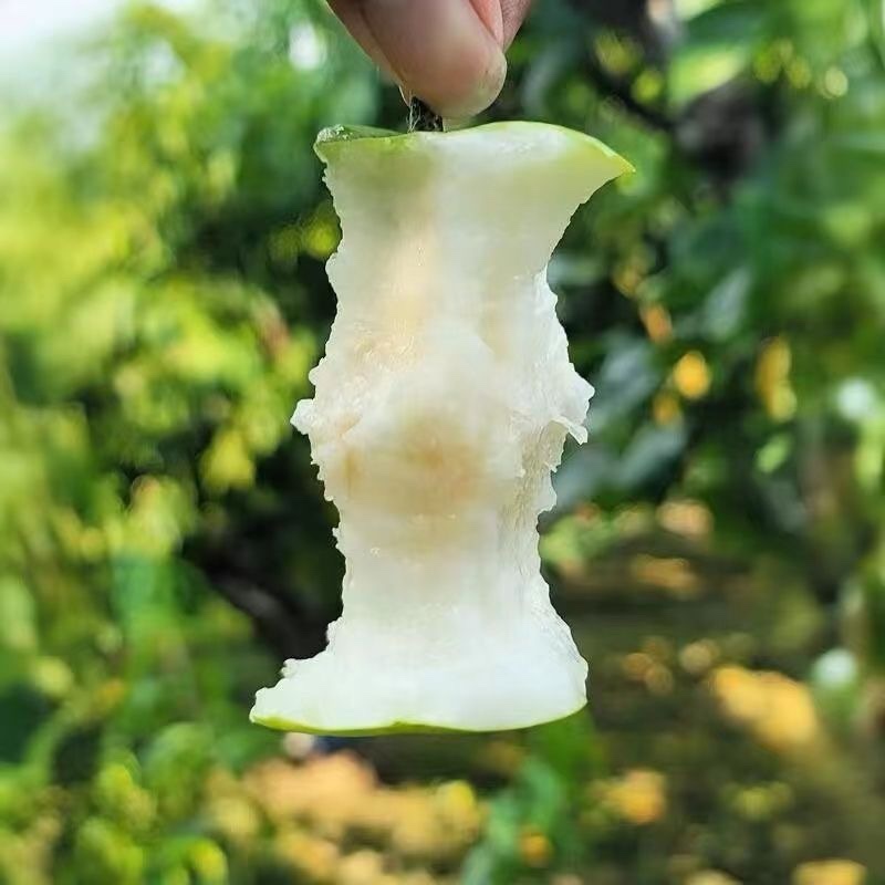 精品翠冠梨
