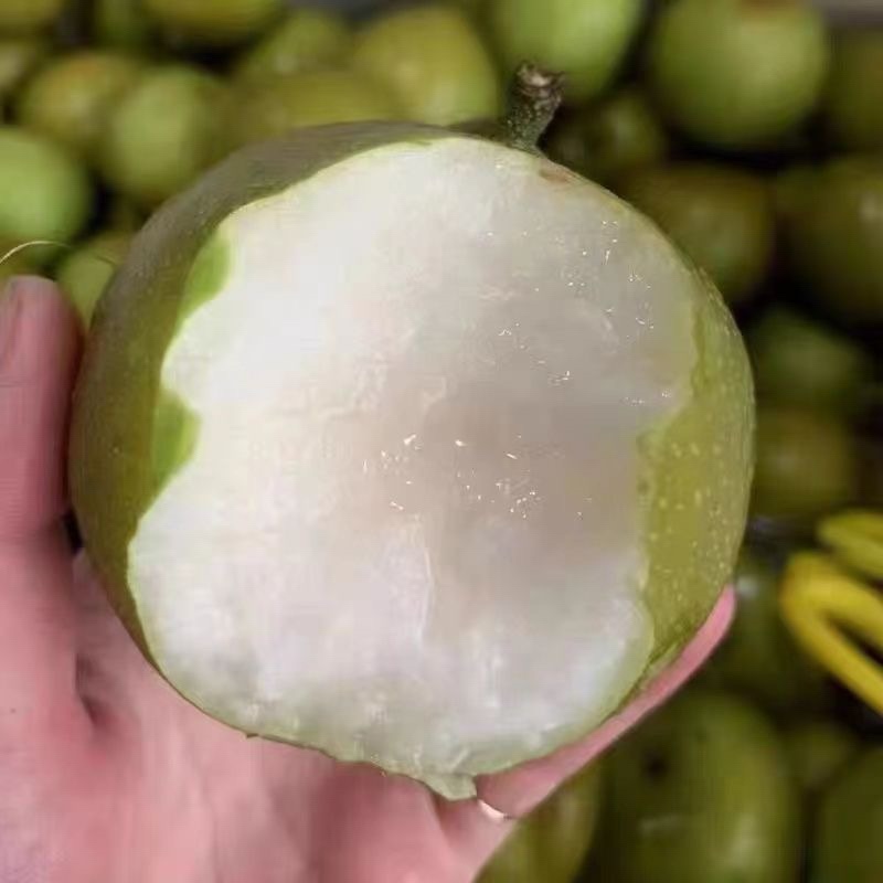 精品翠冠梨