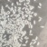 水稻