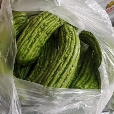 苦瓜