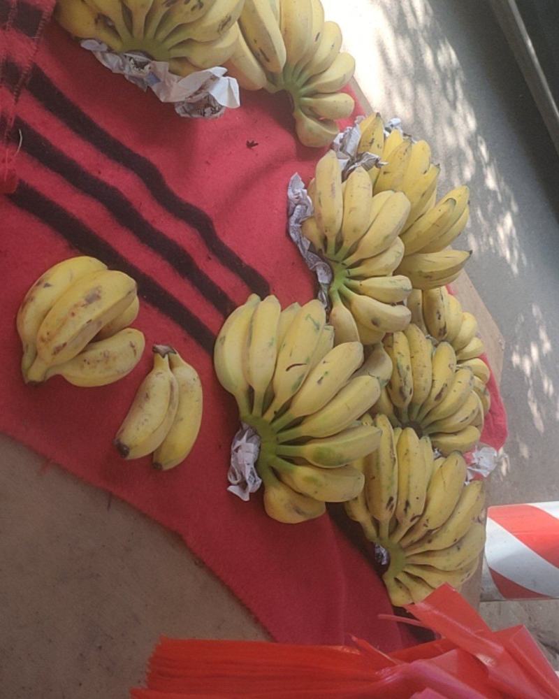 网上批发买