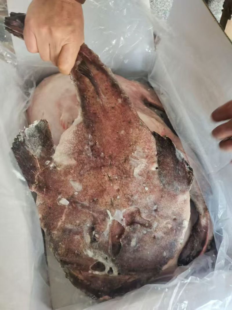 1吨多点，去脏安康鱼，清库处理出口质量