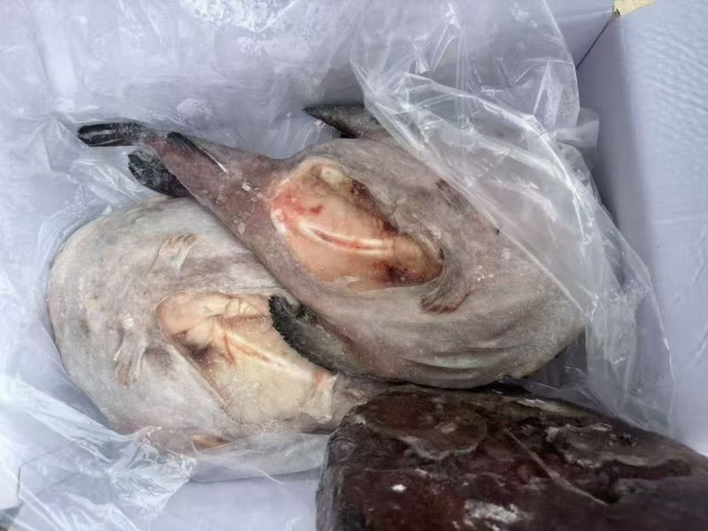 1吨多点，去脏安康鱼，清库处理出口质量