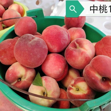 夏之梦