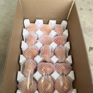 油盘桃全网一件代发需要的来